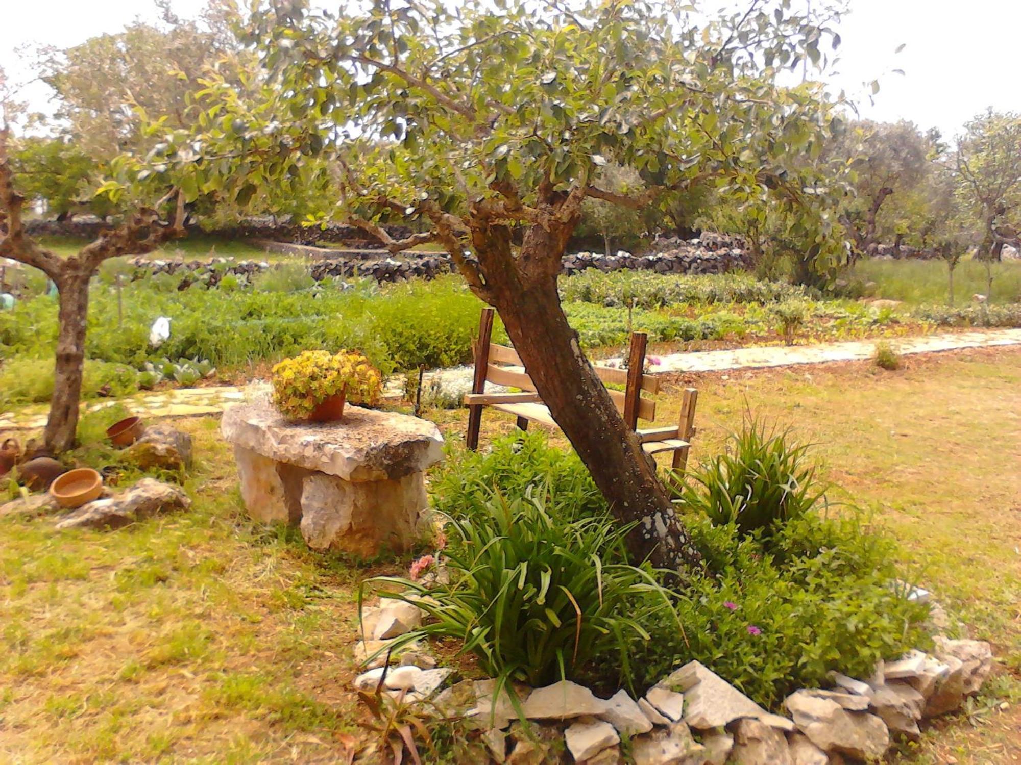 Retiro Da Avo Lidia - Turismo Rural Mendiga Bagian luar foto