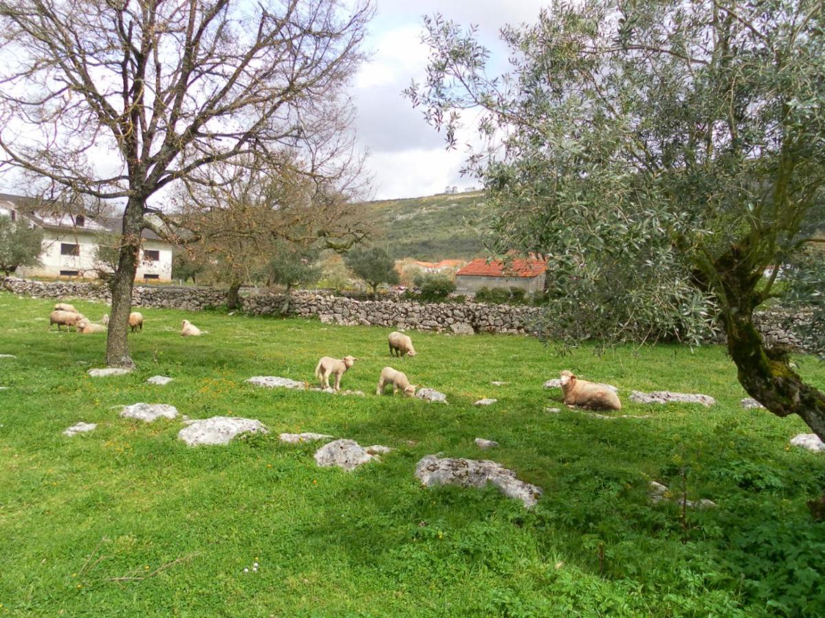 Retiro Da Avo Lidia - Turismo Rural Mendiga Bagian luar foto